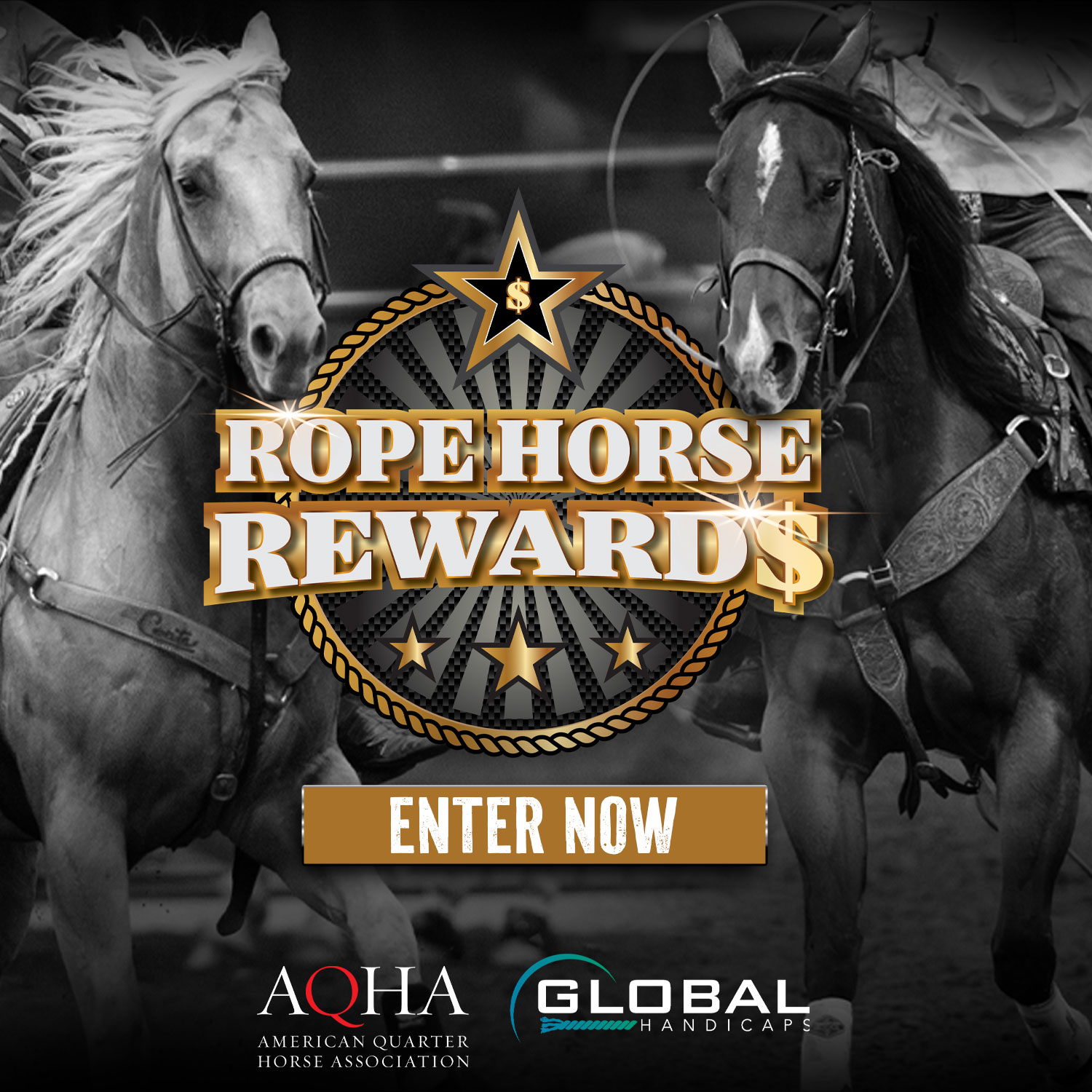 Rope Horse Rewards