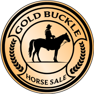 Gold Buckle Horse Sale Exclusive Partnership