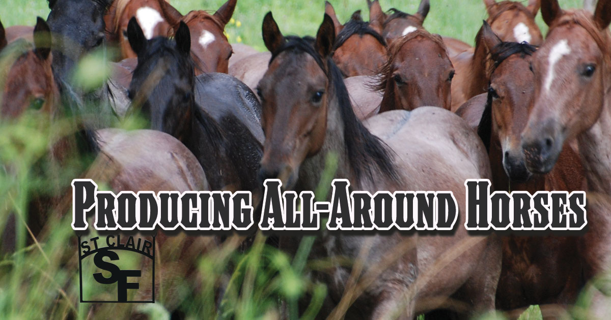 Producing All-Around Horses