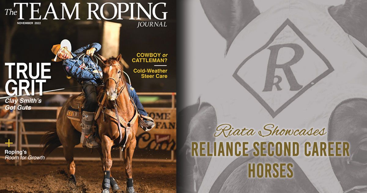 Reliance Second Career Horses