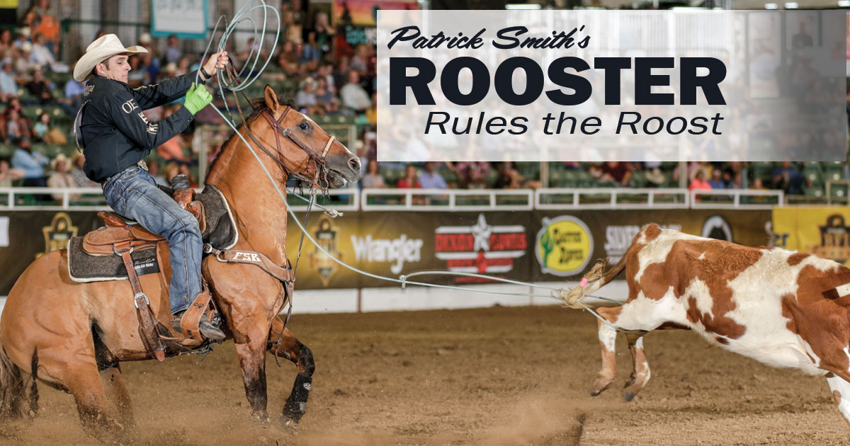 Rooster Rules the Roost