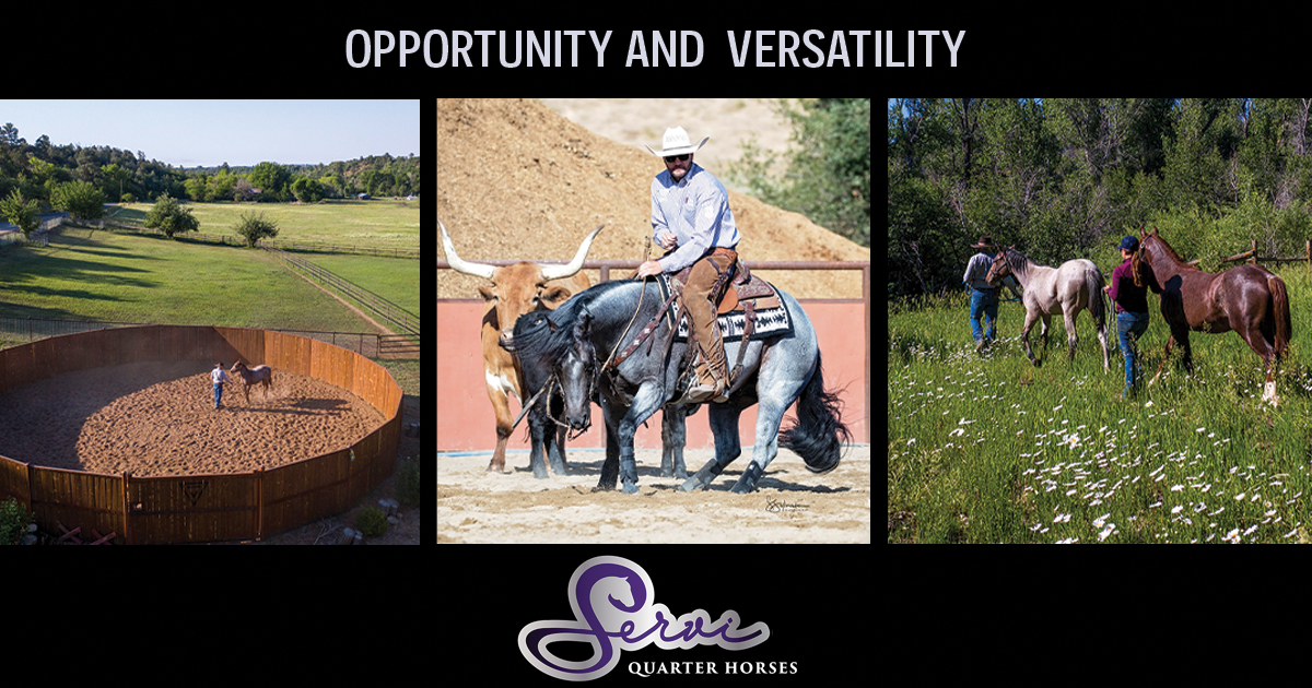 Servi Quarter Horses: Opportunity and Versatility