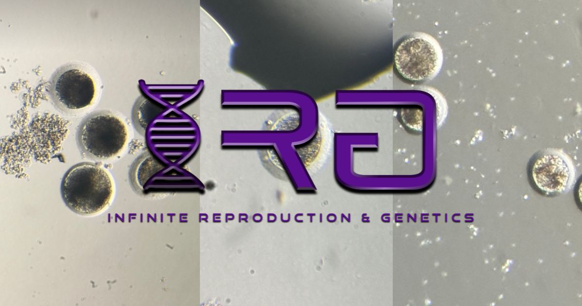 Infinite Reproduction & Genetics