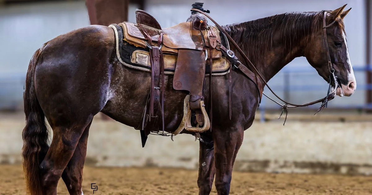 Riata Side Pot Wrap-Up – Tunica, MS