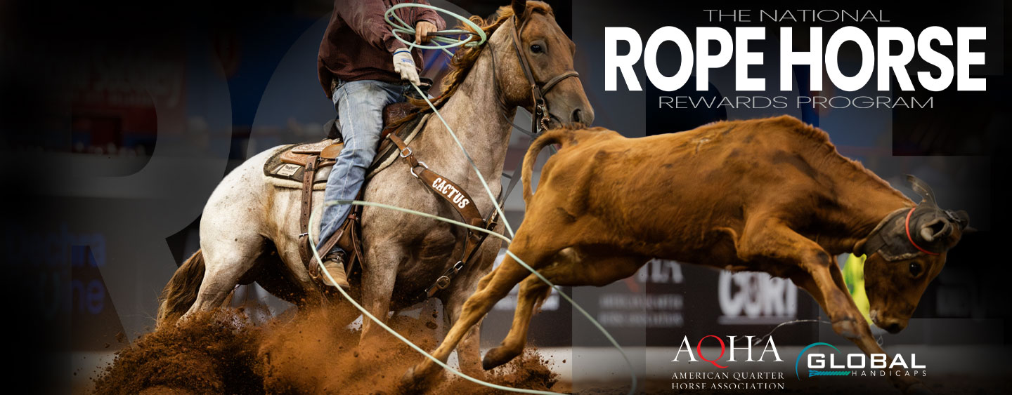 Rope Horse FREE MONEY for January and February Awarded!!!!