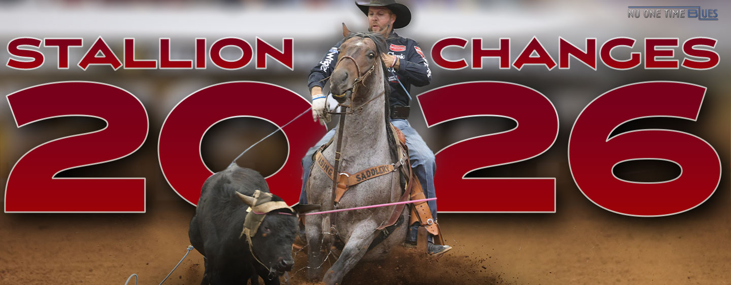 Riata Stallion Changes For 2026