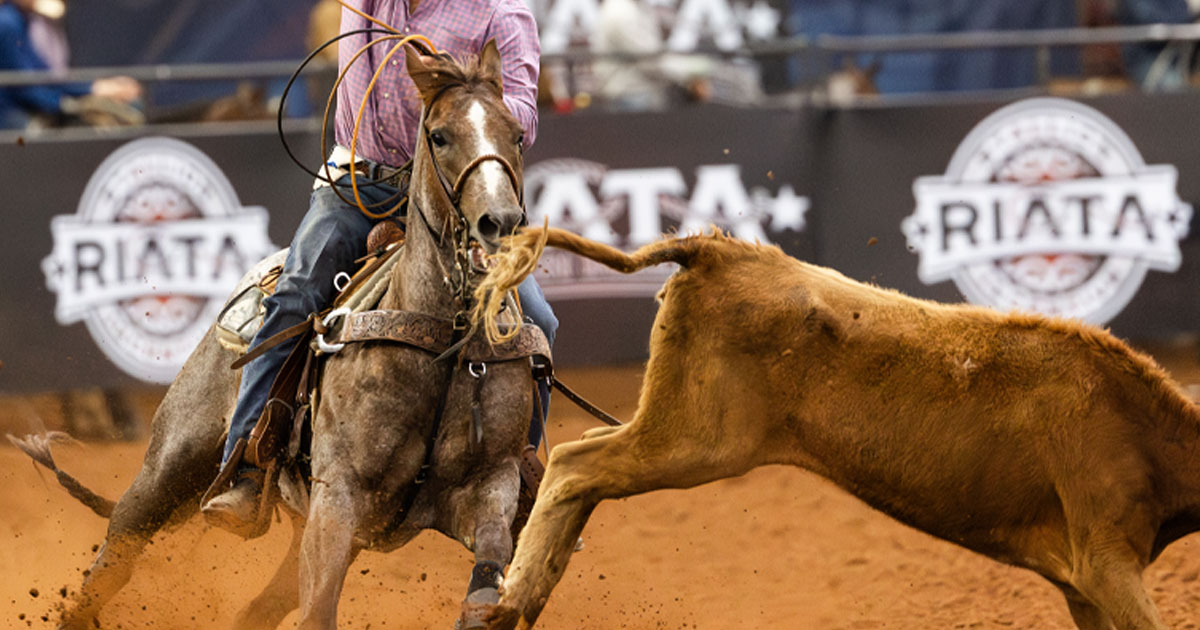 Riata Horses Bring $4.1 Million at Old West Sale