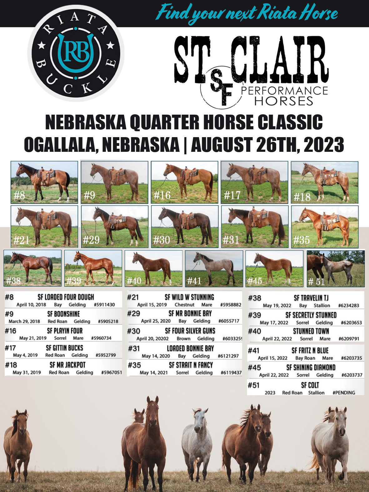 Event Ad for St Clair Performance Horse Sale - Nebraska QH Classic