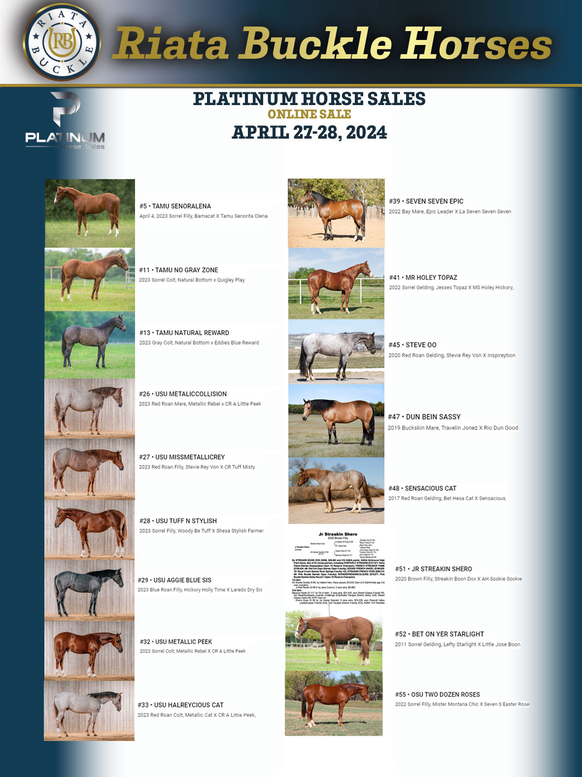 Event Ad for Platinum Horse Sales