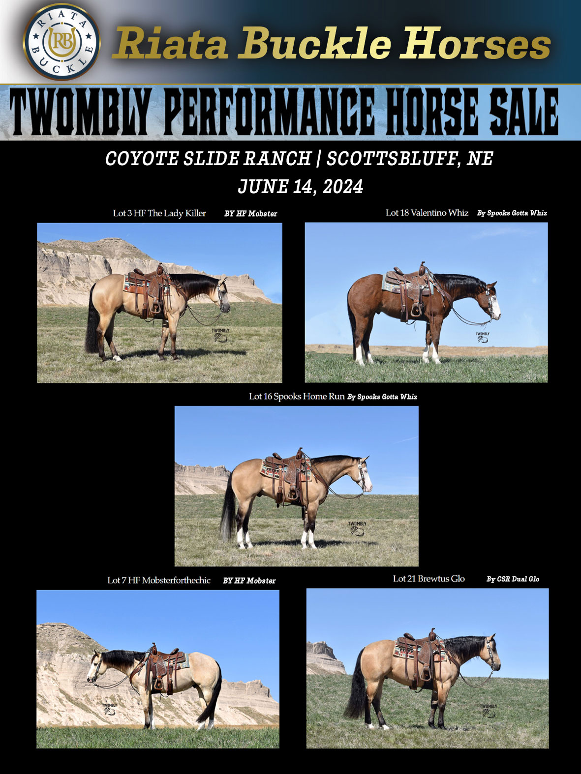 Event Ad for Twombly Performance Horse Sale
