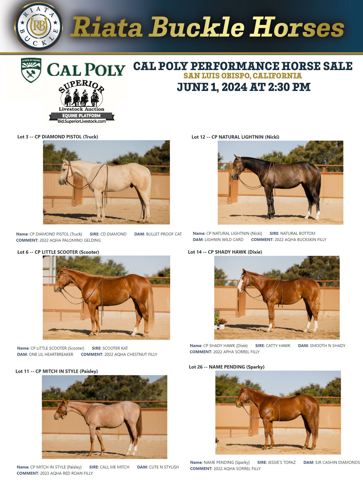 Event Ad for Cal Poly Performance Horse Sale
