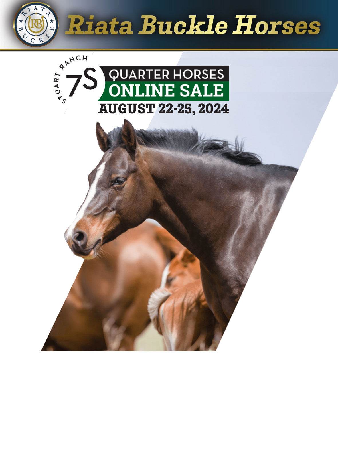 Event Ad for Stuart Ranch Online Horse Sale