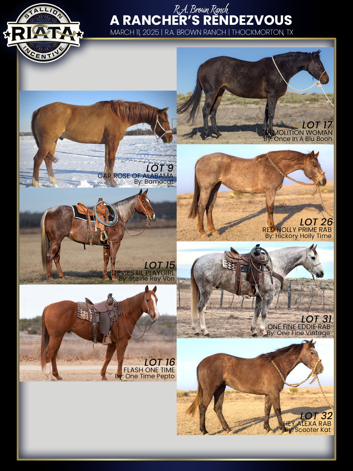 Event Ad for R.A. Brown Ranch Family & Friends Horse Sale