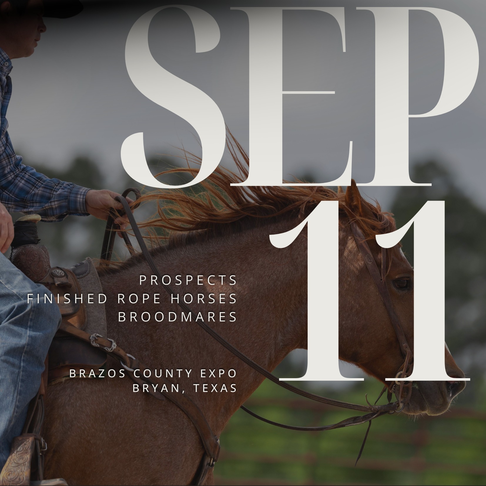Event Ad for 14th Annual Philipp Ranch Horse Sale