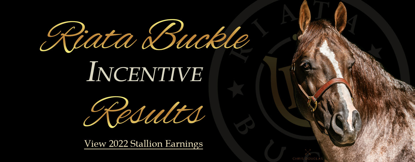 Riata Buckle Incentive Results: View 2022 Stallion Earnings
