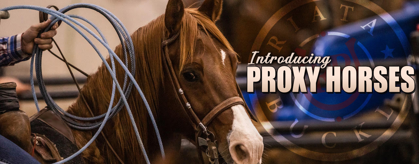 Introducing Proxy Horses