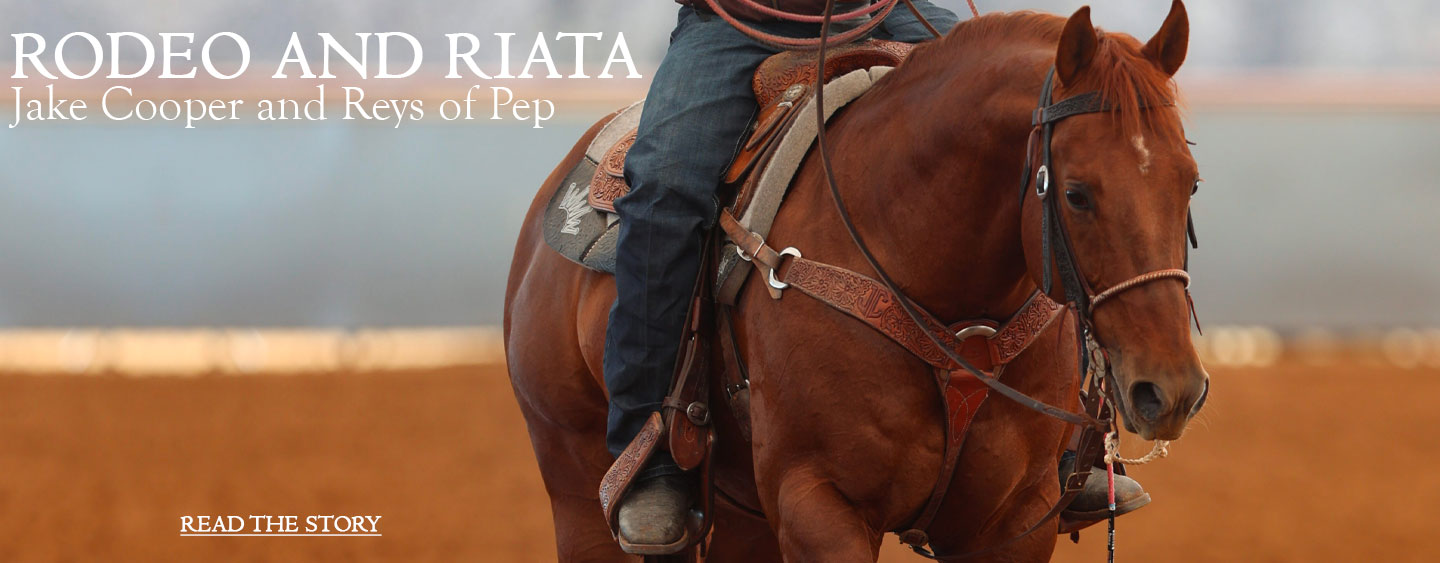Rodeo and Riata