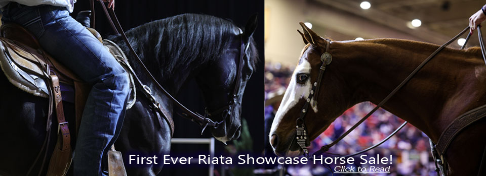 First Ever Riata Showcase Horse Sale